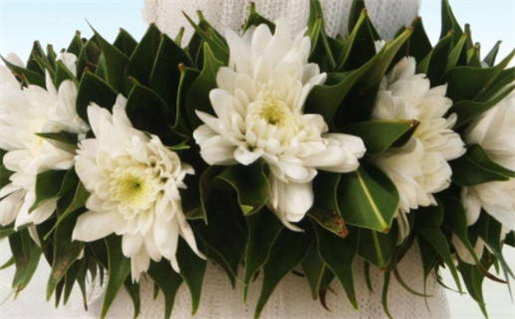 2026年03月02日结婚日子有没有选对？ 今日办婚礼合适吗？