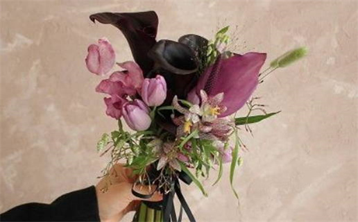 2026年农历二月初五领证日子合黄道没？ 今天领证结婚合不合适？