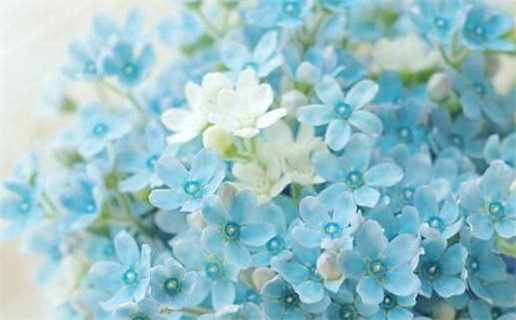 2026年04月17日领证是否合时宜？ 领证合适吗？