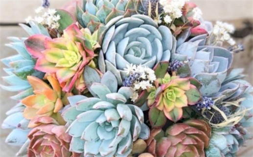 2026年农历四月十九领证能算好日子吗？ 领证能行吗