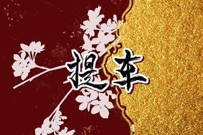 2025年农历五月初五是否适宜提车? 买新车吉日宜忌