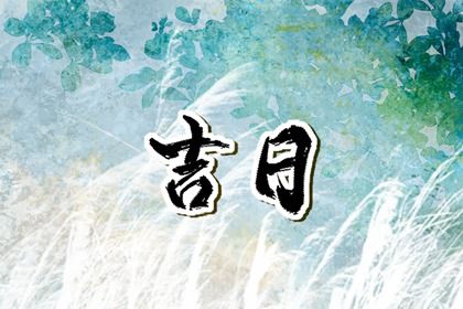 2025年05月12日提车合良辰吗？ 今日提车买车有没有问题？