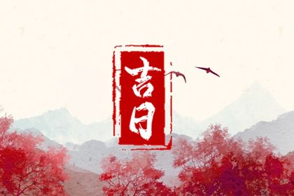2026年01月01日提车合良辰吗? 提车有问题吗?