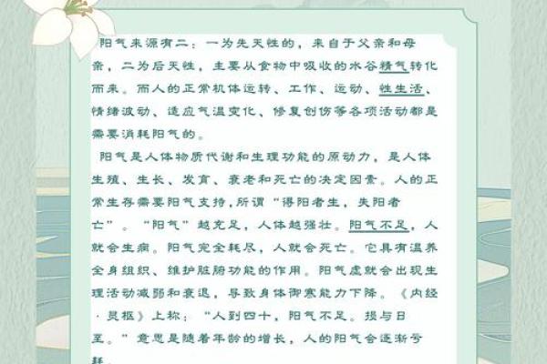 探索一年中的传统节日与养生之道