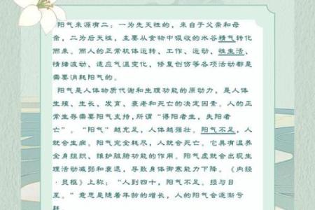 探索一年中的传统节日与养生之道