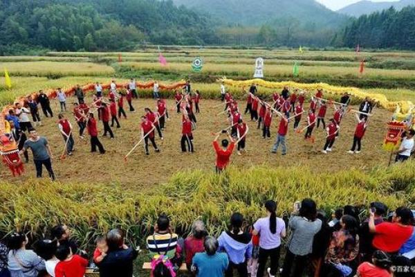 节日大全：探索春耕与天文奇观的完美结合
