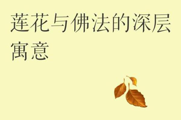 荷花之谜，五行格局揭秘：颠覆传统，性格解析新视角