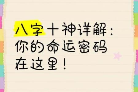 揭开命运密码：丁亮命理教材中的暗藏玄机，你是否误入了命理的陷阱？
