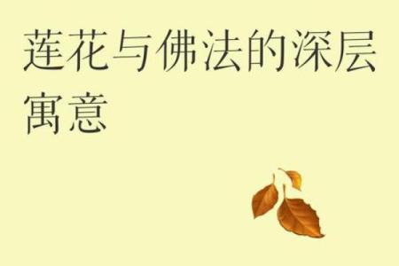 荷花之谜,五行格局揭秘:颠覆传统,性格解析新视角