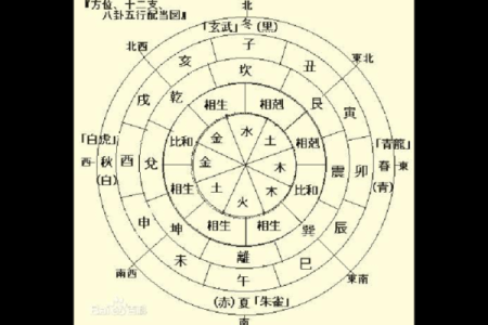 林志颖的命运如何改变？八字解析给你答案