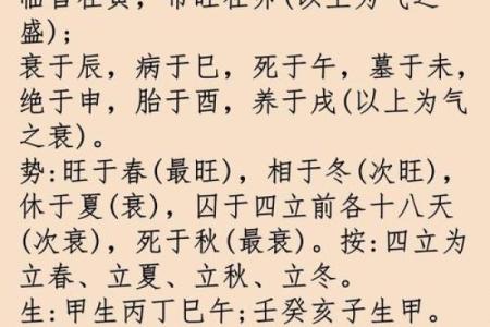 五行格局揭秘:甲子年属什么,你的性格特质如何发挥?