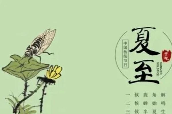 夏至，了解与传统节日相关的文化与节气变化