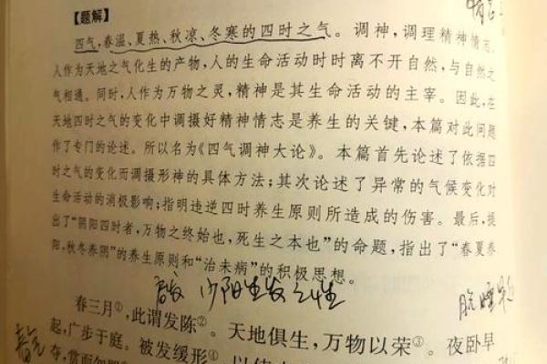 节日歌曲背后的养生哲学与生活智慧