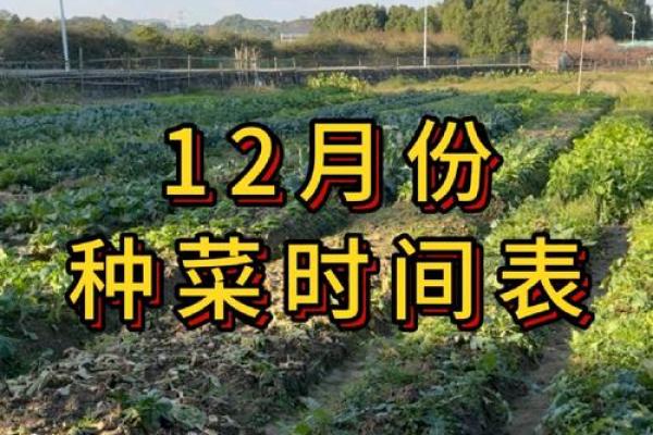 农耕时节：适合种植哪些农作物