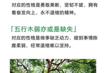 性格解析新视角：荷五行带你探索内在潜能的秘密
