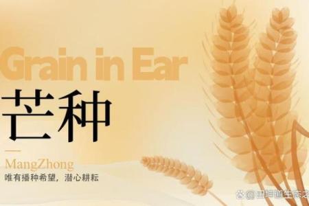 农耕时节：适合种植哪些农作物
