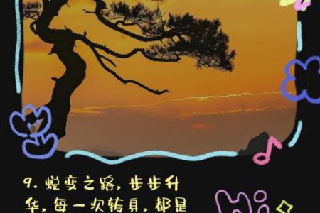 五行格局:避开性格陷阱,实现人生华丽转身的方法论