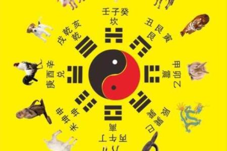 属狗命理的误区:如何改变命运,反而让你走向更好的发展道路