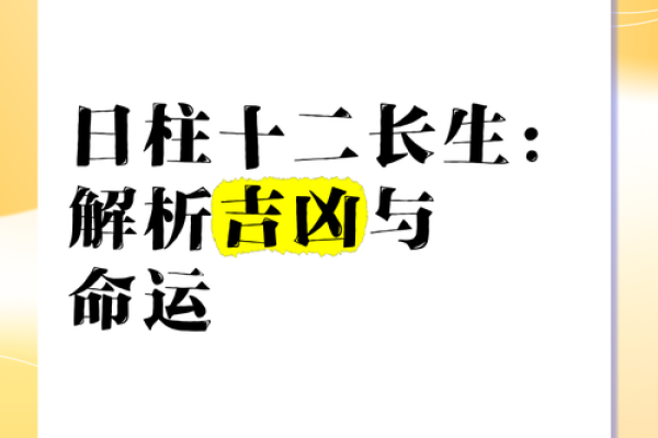 正五级命理解析：命运的暗藏玄机如何改变你的未来