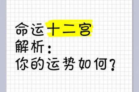 命运密码揭秘:喜神多,能否反而影响你的一生运势?