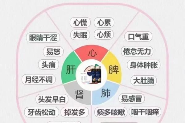 中秋养生秘笈：如何在节日期间调养身体