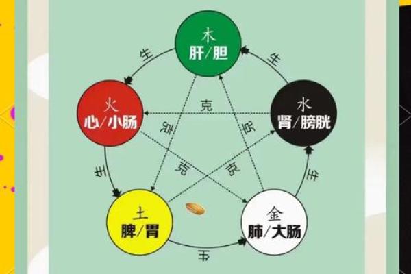五行格局重塑术：严格性格的实用改变指南