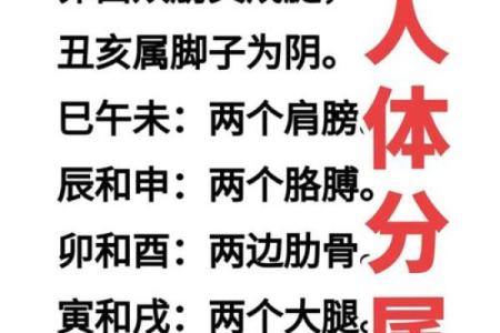 你不知道的八字命理误区,反而让命运变得更加坎坷