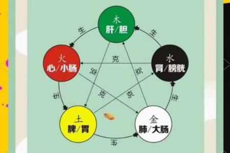 五行格局重塑术：严格性格的实用改变指南