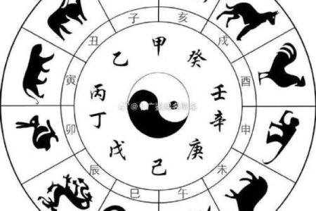 五行格局揭秘：玉的五行属性如何影响你的性格？