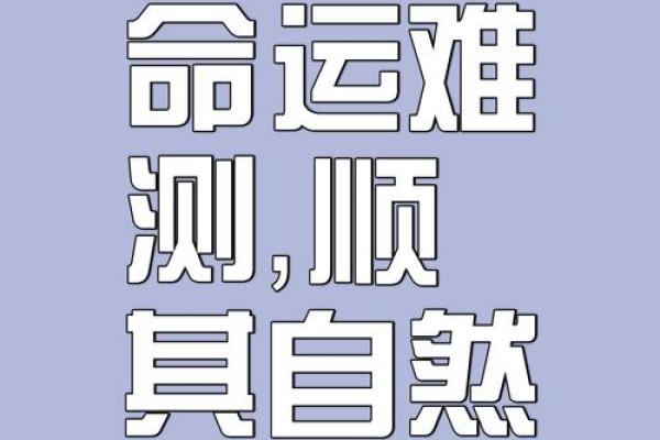 揭秘手机命理数：它能改变你的人生轨迹吗？