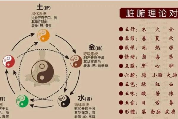 五行格局颠覆性解析：相克相生，如何成就最佳性格