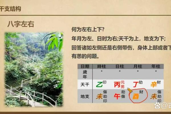 探秘四柱命理：命运密码背后的暗藏玄机