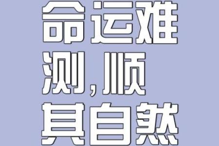 揭秘手机命理数：它能改变你的人生轨迹吗？