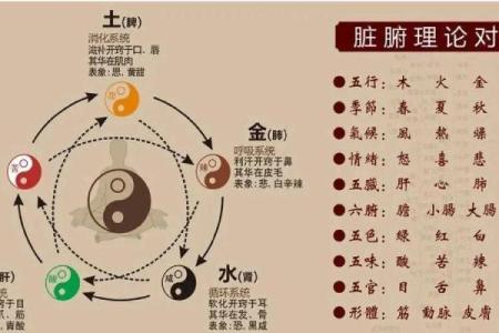 五行格局颠覆性解析：相克相生，如何成就最佳性格