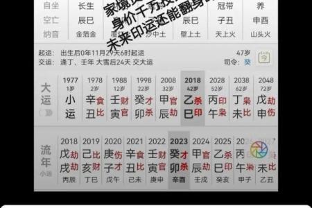 如何改变自己的命运？从林志颖的八字看命理的秘密