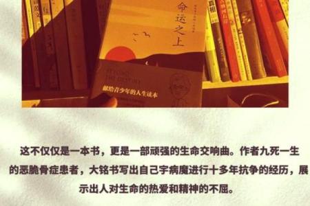 命运密码揭秘：鼠兔相刑，反而助力人生逆袭