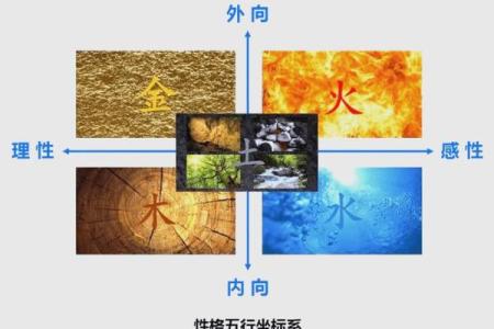 性格解析：松树五行属性揭示你的独特魅力
