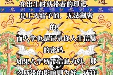 命运密码大揭秘：陈冠宇八字背后的深层玄机