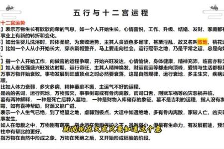 五行格局深度解析:揭秘性格背后的五行规律,改变你的生活