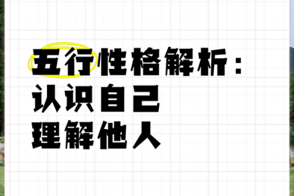 五行性格解析：跳出误区，发现你的内在潜能