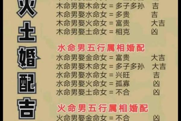猫字五行格局揭秘：性格解析如何影响猫咪命运？