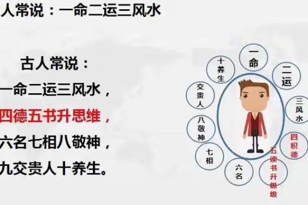 猫字五行格局揭秘：性格解析如何影响猫咪命运？