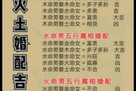 猫字五行格局揭秘：性格解析如何影响猫咪命运？