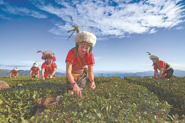 探索高山族节日习俗中的农业与自然关系