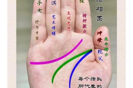 八字命理揭示：反而是这些健康秘密决定了你的人生走向
