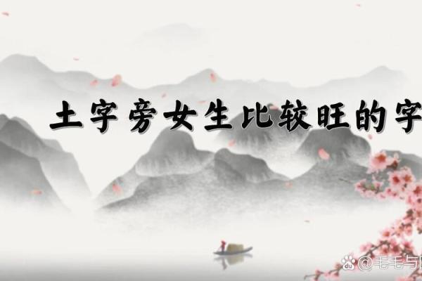 美字五行属性深度解析：性格解析新视角，颠覆传统认知