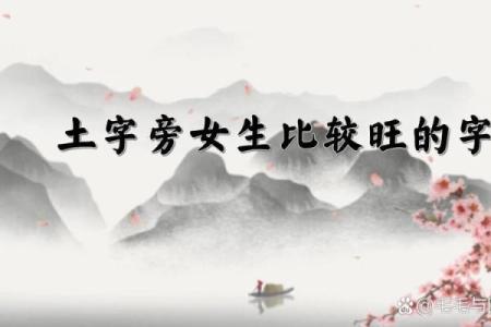美字五行属性深度解析:性格解析新视角,颠覆传统认知