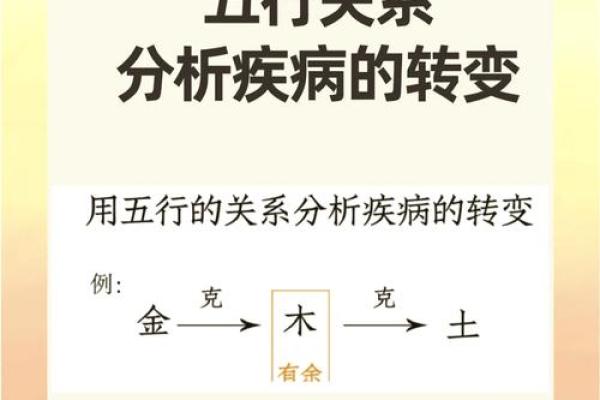 性格解析新视角：五行格局中的生活智慧