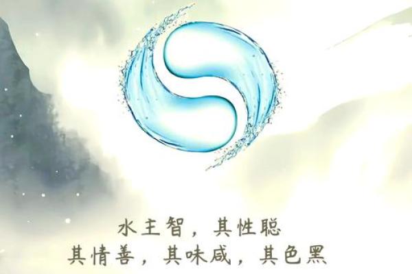 性格解析新视角：五行格局中的生活智慧