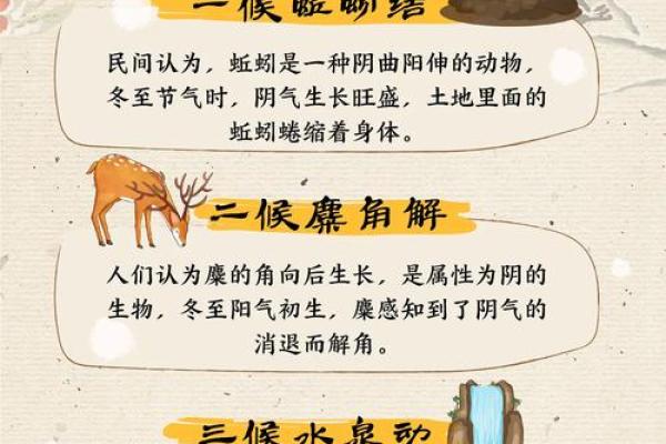 秋冬交替的农历十月一节日文化